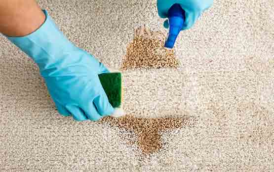 Best Carpet Cleaning Services Highbury