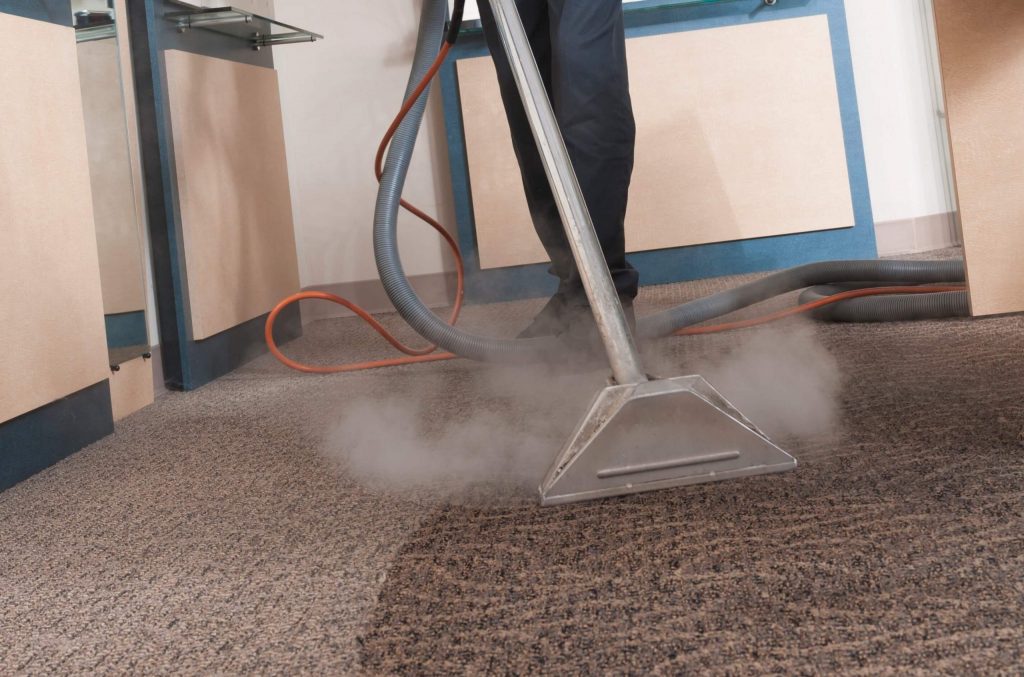 Steam clean Your Carpets